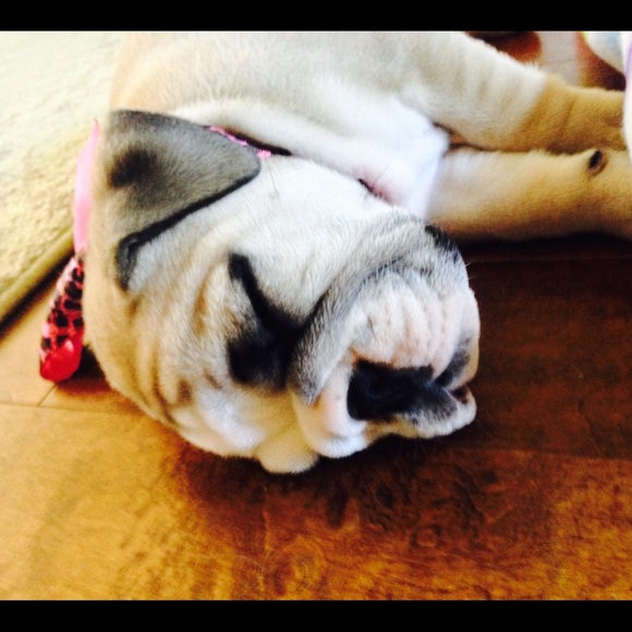 Meet your Posher, Cindi - Picture 5 of 8